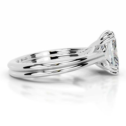 MUSHAN Custom Jewelry 925 Sterling Silver Ring Moissanite D Color VVS1 Fine Splendid Princess Winsome Rings Diamond Accessories